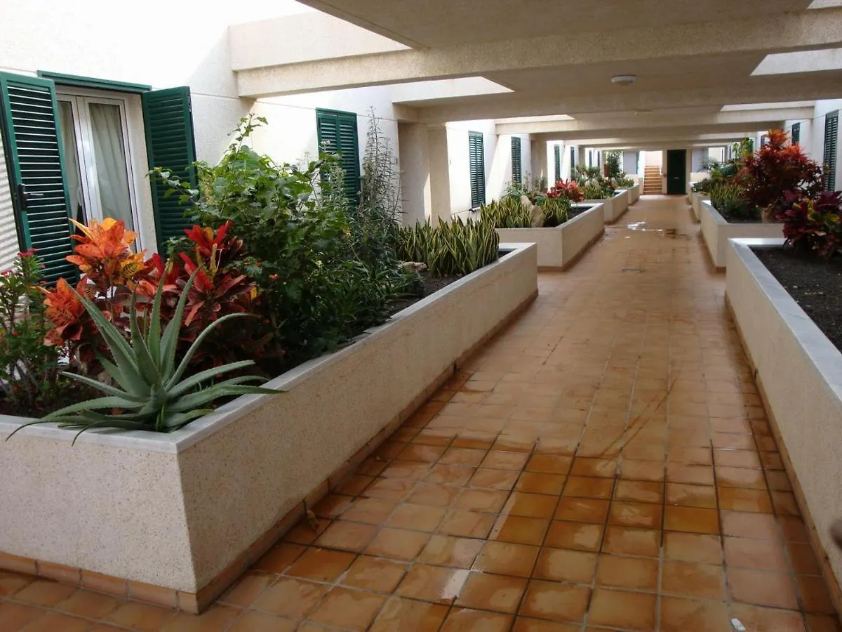 Apartamento Con Jardin Y Piscina En El Balancon Apartment El Medano  Spain