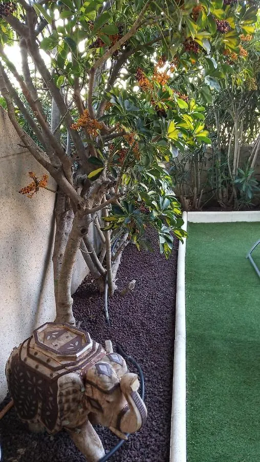 Apartamento Con Jardin Y Piscina En El Balancon Apartment El Medano  0*, El Medano (Tenerife)